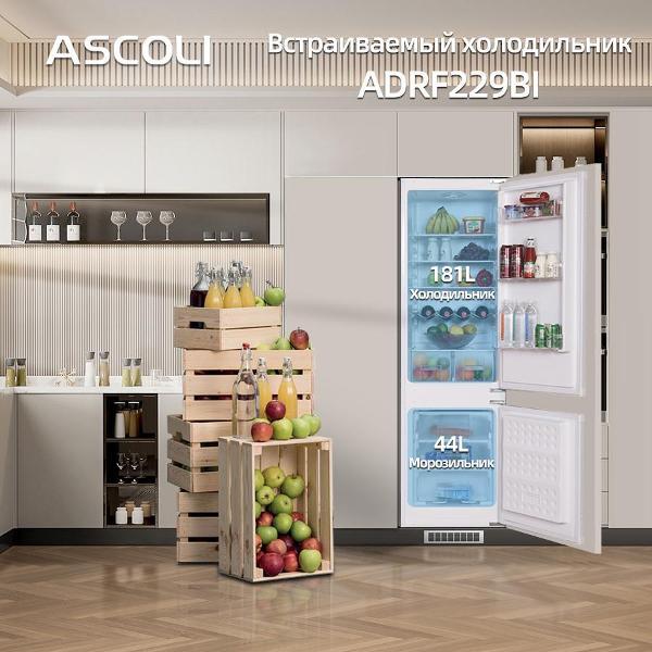 Встраиваемый холодильник Ascoli ADRF229BI, фото 7