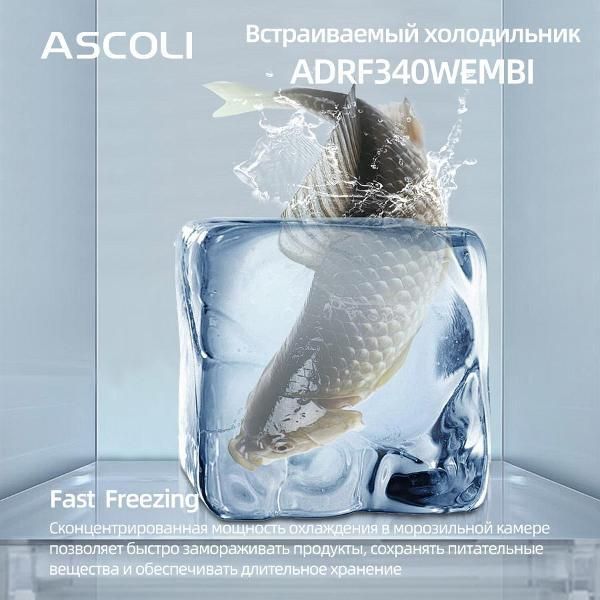 Встраиваемый холодильник Ascoli ADRF340WEMBI белый
